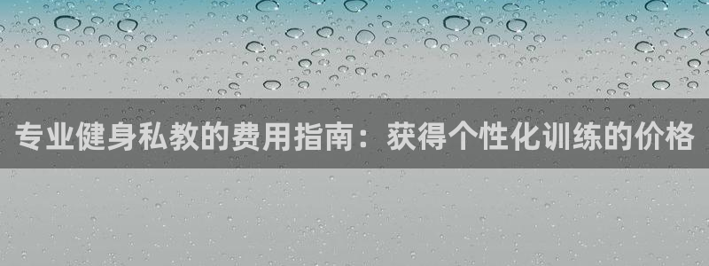 龙 八国际