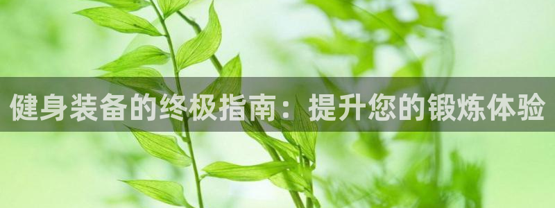 龙8国际app下载官网手机版最新版