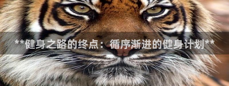 龙8国际安卓版版