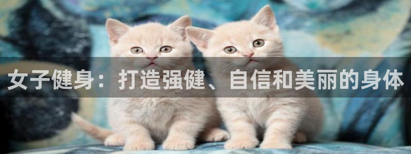 国际龙8官网pt客户端下载