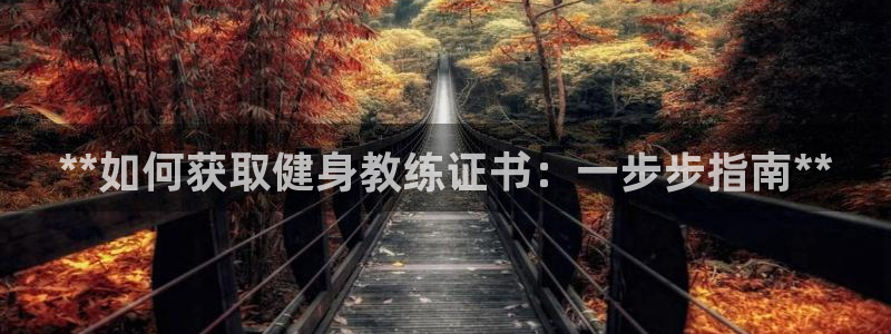 龙8国际app下载手机版