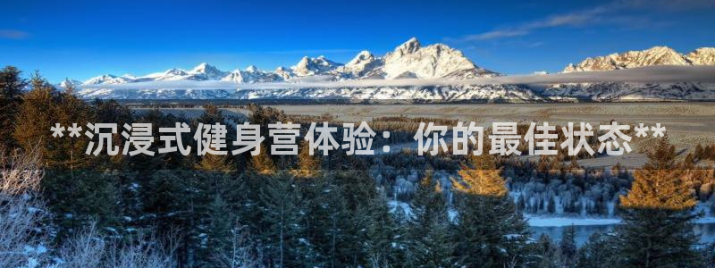 龙8国际是不是黑网