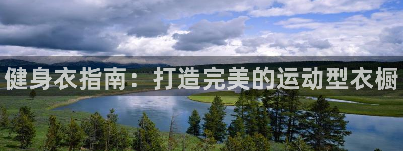 龙八国际网页