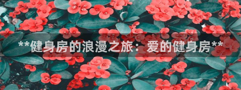 龙8国际网站怎么样