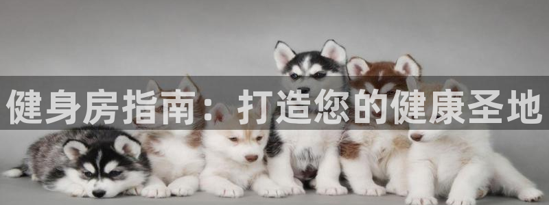 龙8国际官方平台