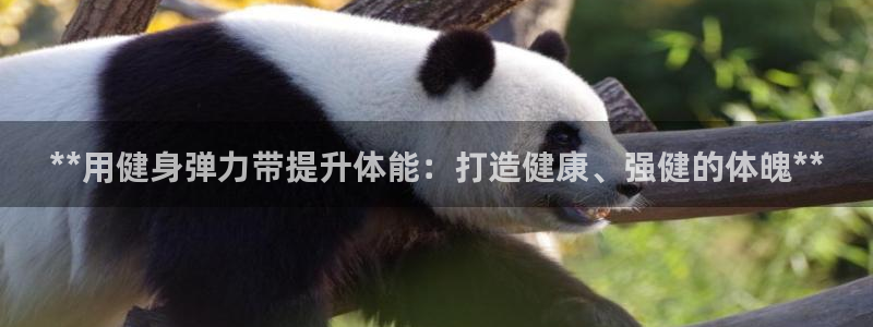 龙8国际手机游戏官网
