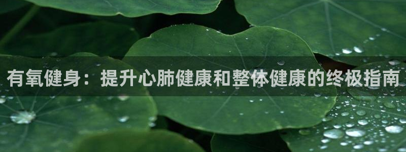 龙8国际老虎机游戏