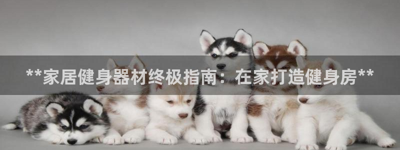 龙8国际欢迎您