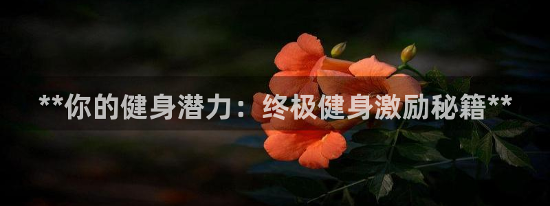 龙8国际long88(中国)官方网站