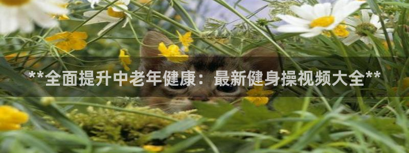 龙8国际是不是黑网