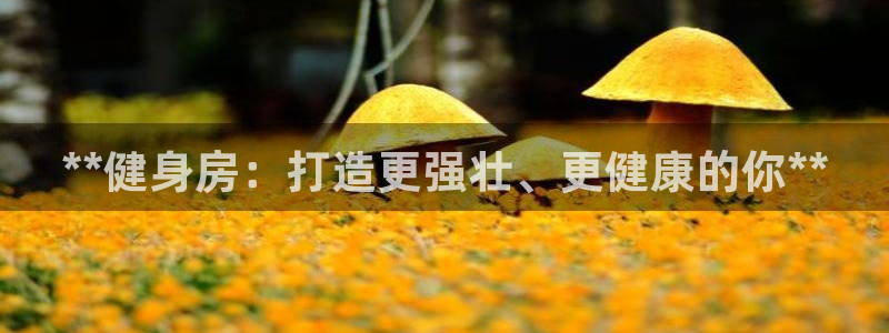 龙8国际唯一