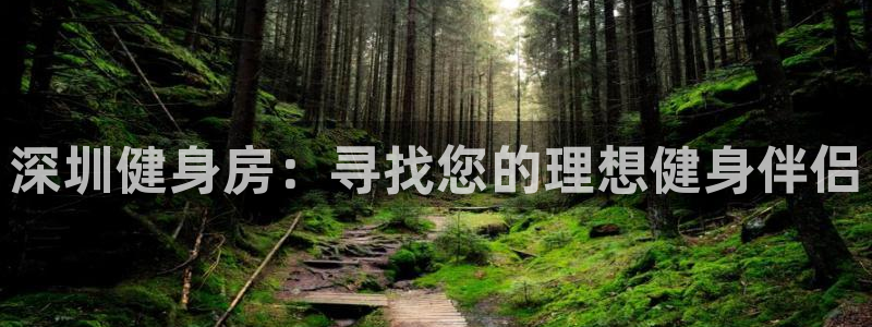 龙8手机游戏官网