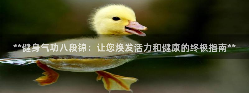 龙8国际官方网