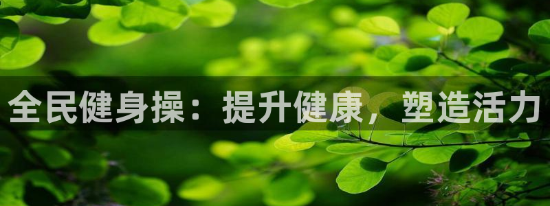 龙8国际3.0