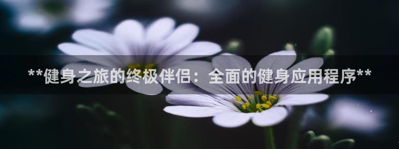 龙8国际唯一官网手游登入口