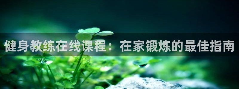 龙8国际官网首页
