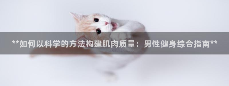 龙8国际pt