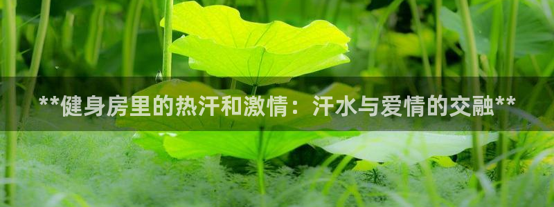 龙8国际免费试玩