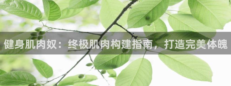 龙8国际是什么平台