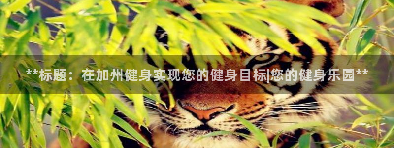 龙8国际pt