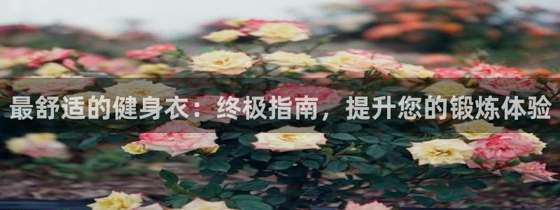 龙8国际app下载客户端