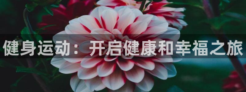 龙8国际官方网站苹果版