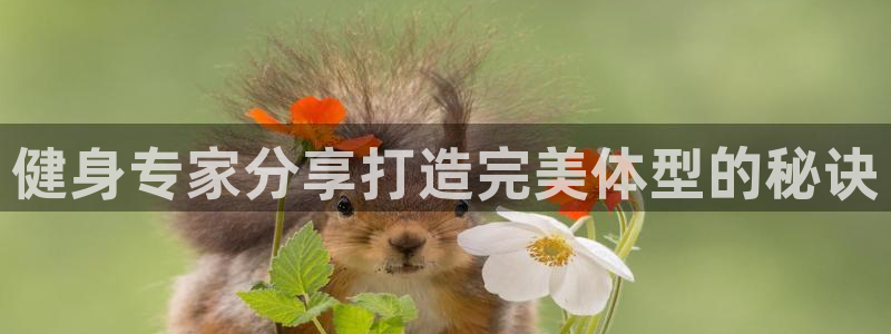 龙8国际官网多少