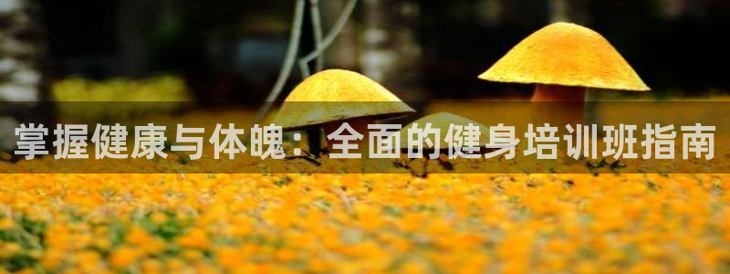 龙8国际官网版