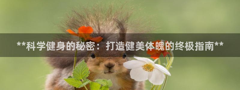 龙8游戏入口