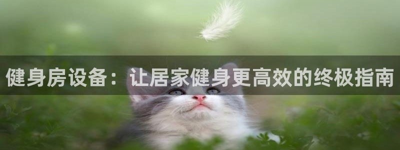 龙8国际登录网址推荐ag87253