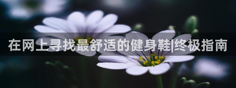 龙8国际黑吗