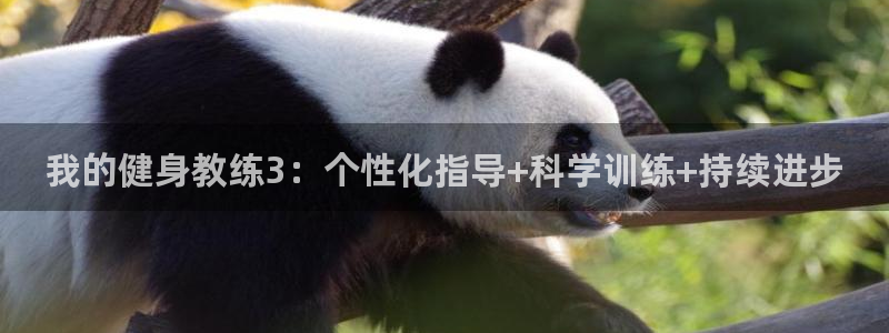 龙8游戏网站