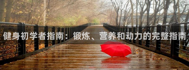 龙 八国际