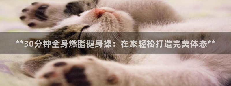 龙8国际游戏