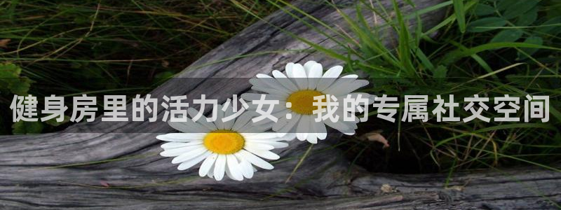 龙8国际版