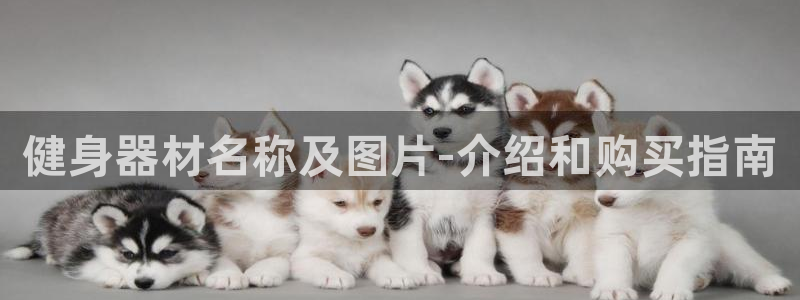 龙8国际手机网页版