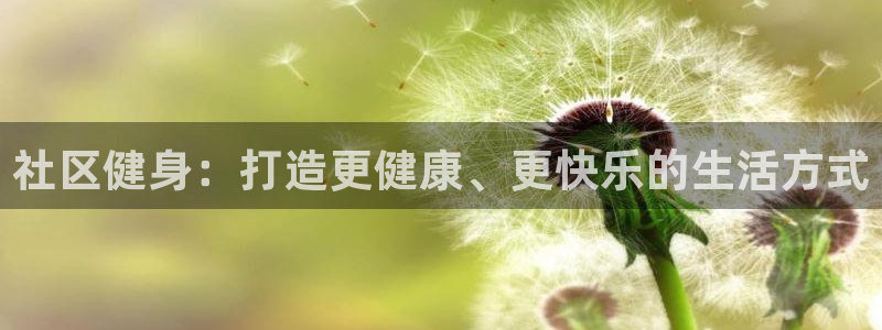 龙八国际app客户端下载不了