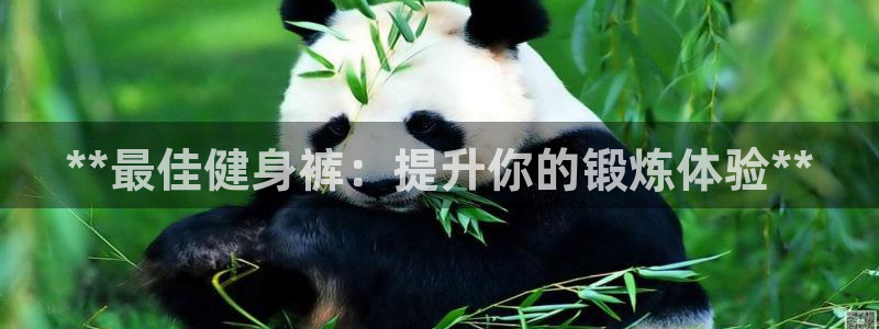 龙8国际app下载