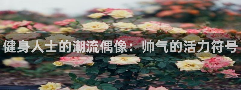 龙八国际2018最新官网