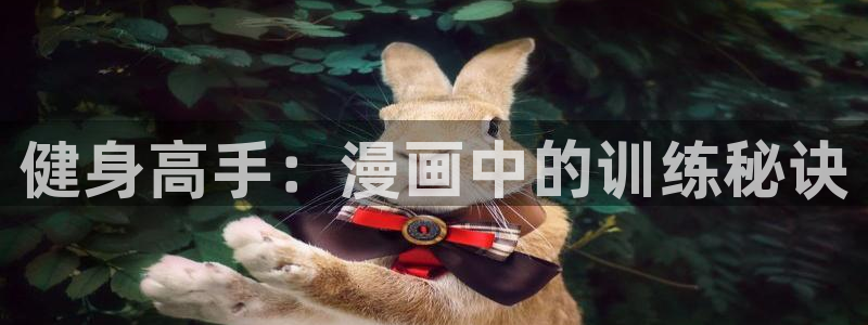 龙八国际服官网入口