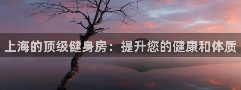 龙八国际唯一官网
