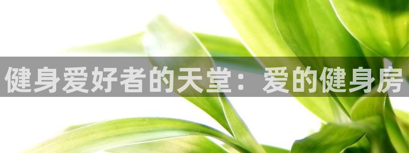 龙8国际app下载