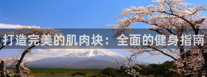 国际龙8官网pt客户端下载