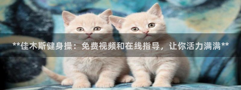 龙8官网手机登入口