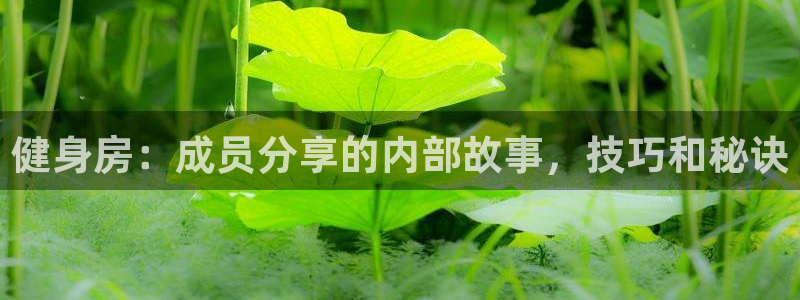 龙8国际游戏唯一官方进入