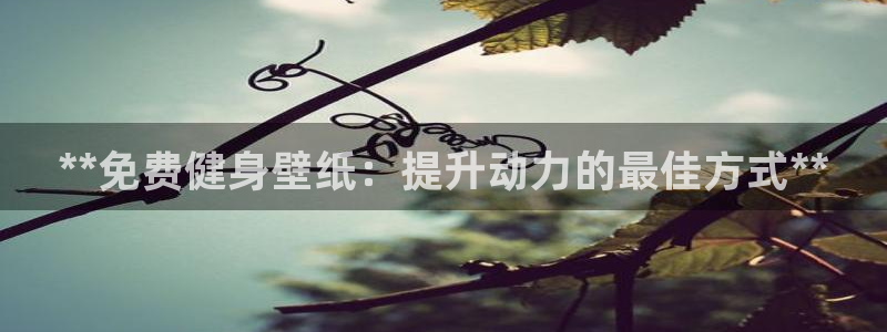 国际龙8官方网站
