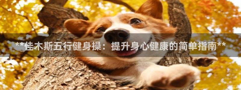 龙8国际官方网