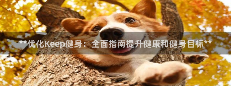 龙8国际安卓官方版fxzls-1.2.1 -安卓