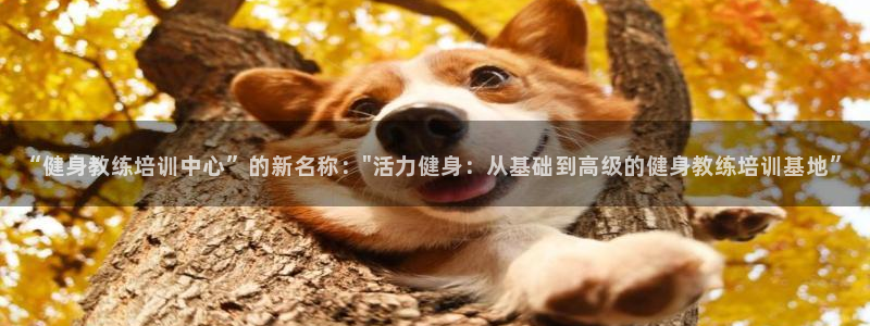 龙8国际官方网站手机版