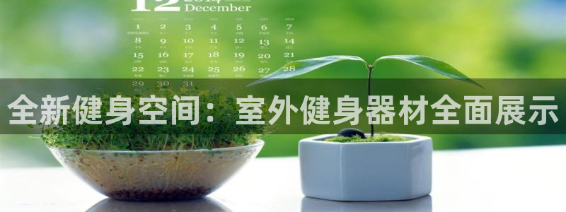 龙8官网国际